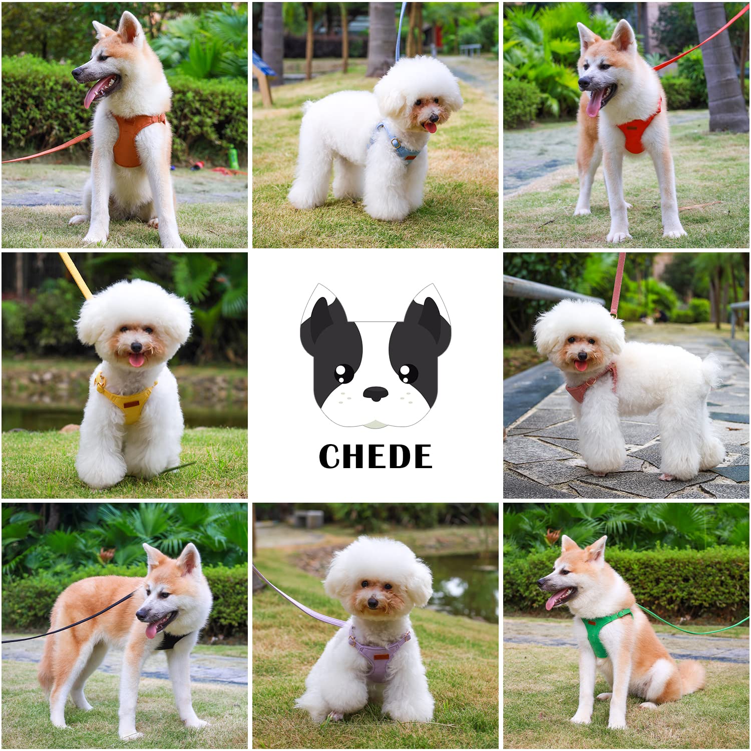CHEDE puppy harness close-up showing the release buckle.