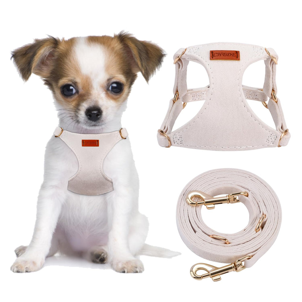 CHEDE puppy harness and leash set shown from the front.