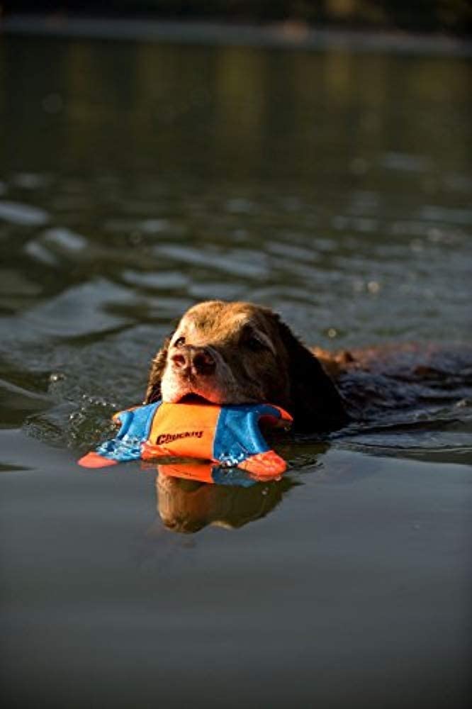 Chuckit! Small Flying Squirrel dog toy being thrown for a game of fetch.