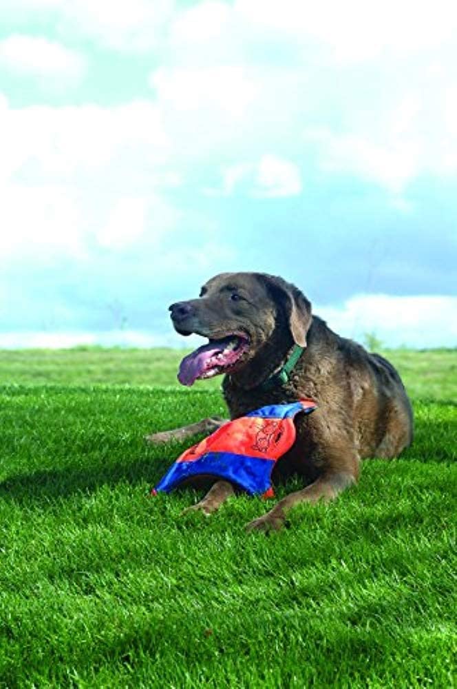 Chuckit! Small Flying Squirrel dog toy showing its glow-in-the-dark paws.