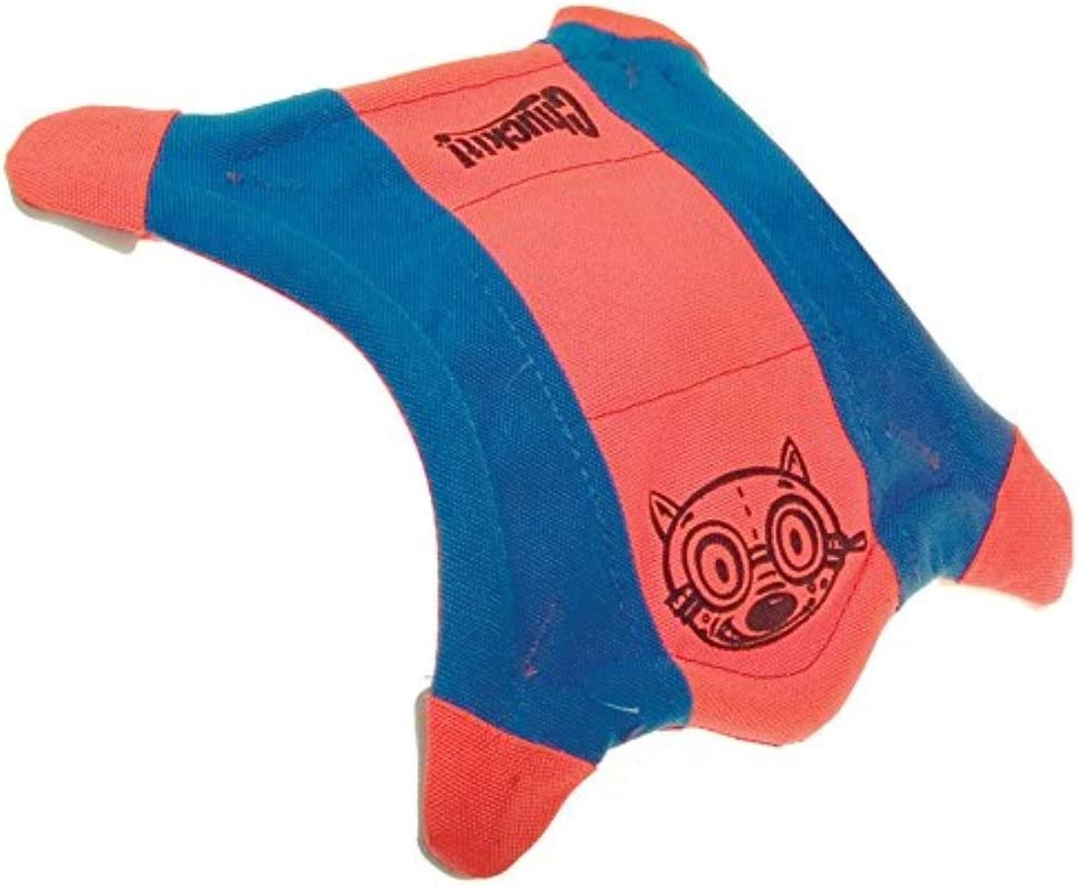 Chuckit! Small Flying Squirrel dog toy floating in water.