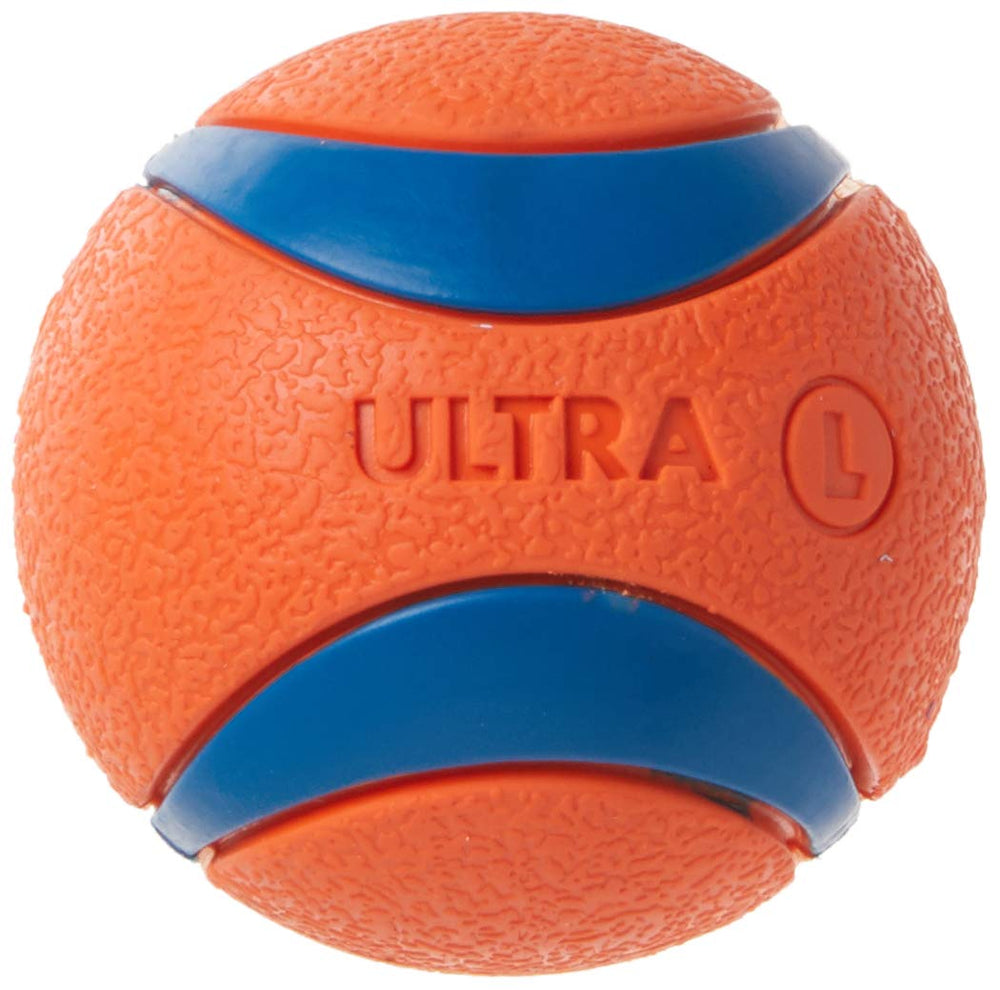 Chuckit! Ultra Ball shown during a game of fetch.
