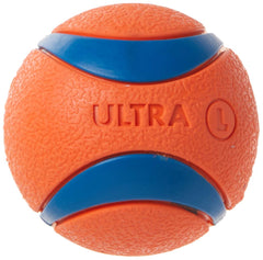 Chuckit! Ultra Ball shown during a game of fetch.