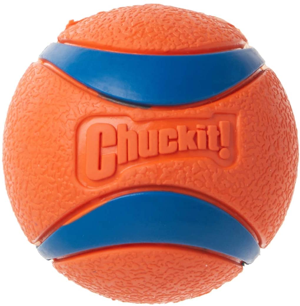 Chuckit! Ultra Ball X-Large dog fetch toy shown from the front.