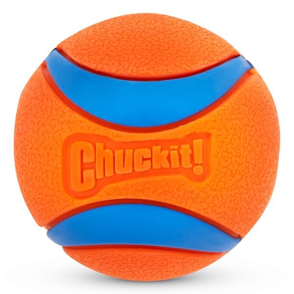 Chuckit! Ultra Rubber Dog Balls beside the bucket with its lid converted into a water bowl.