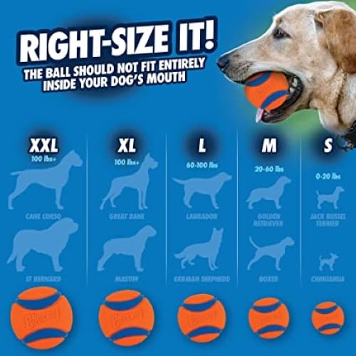 Chuckit! Ultra Rubber Dog Balls being used for an outdoor game of fetch.
