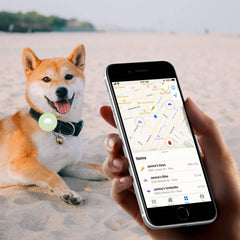 Cibaabo Silicone AirTag Holder fitted close against a pet collar.