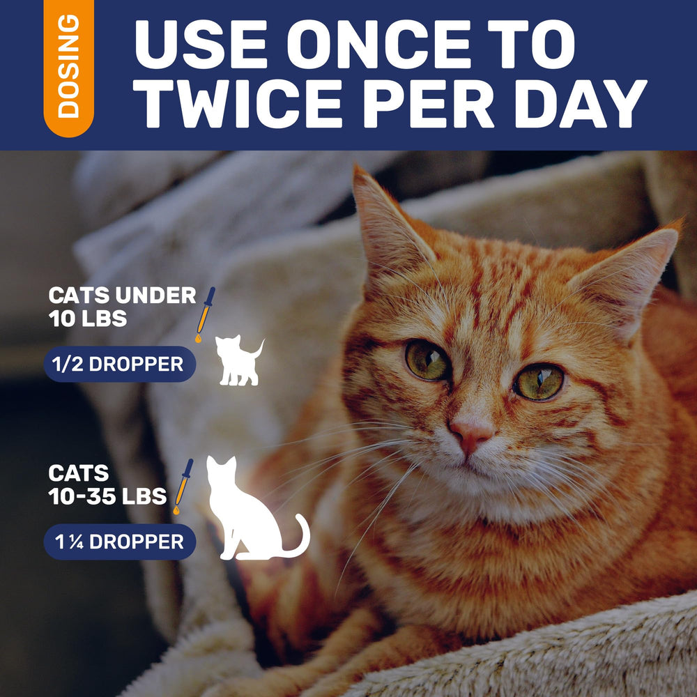 Clear Max cat liquid supplement shown mixed with cat food.