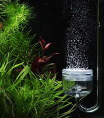 Clscea acrylic CO2 diffuser highlighting its transparent body.