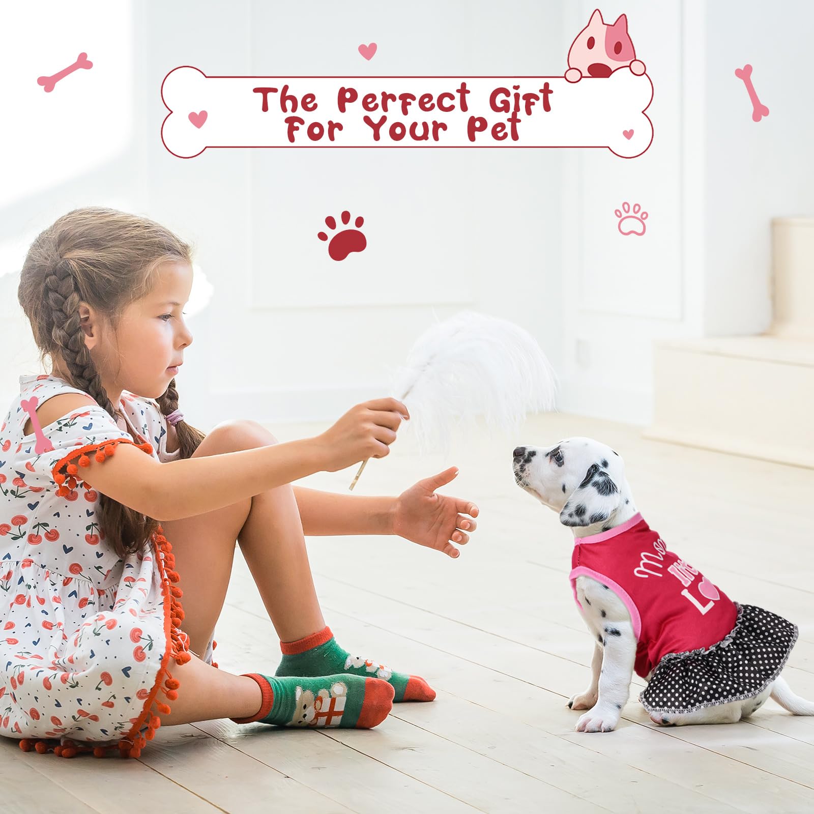 Clysee pet dress shown worn by a small dog.