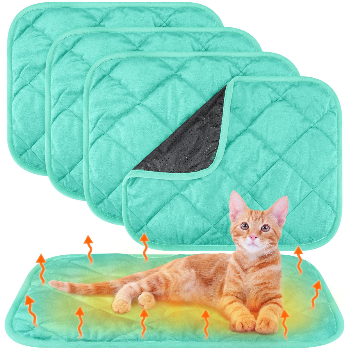 Clysee self-warming pet mat shown from the front in mint blue.