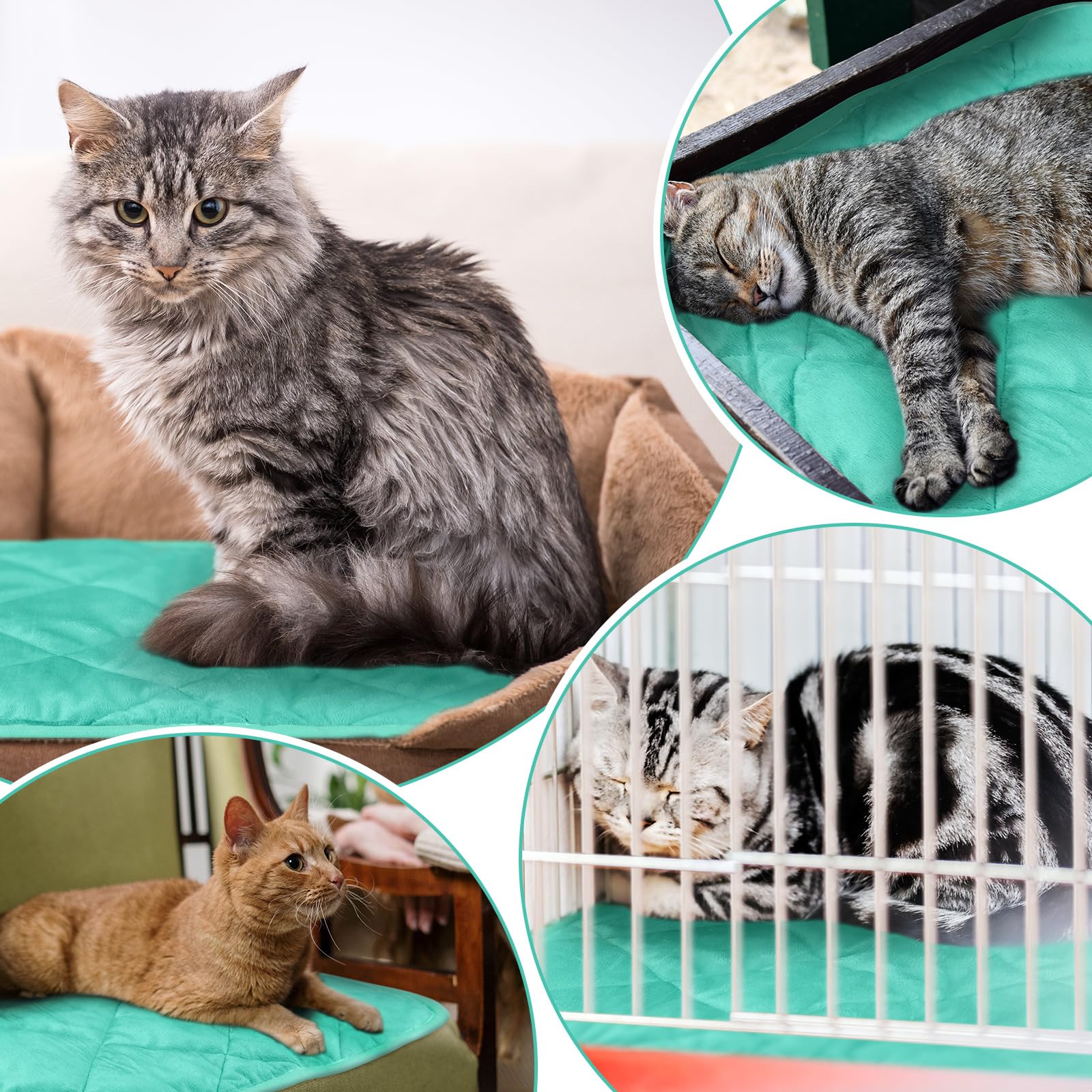 Clysee self-warming pet mat shown with its five-layer construction.