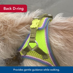 Coastal Li’l Pals Comfort Mesh Dog Harness in lime.