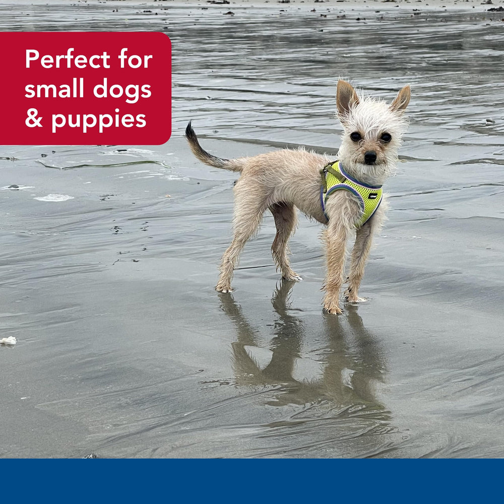 Coastal Li’l Pals Comfort Mesh Dog Harness slider shown in close detail.