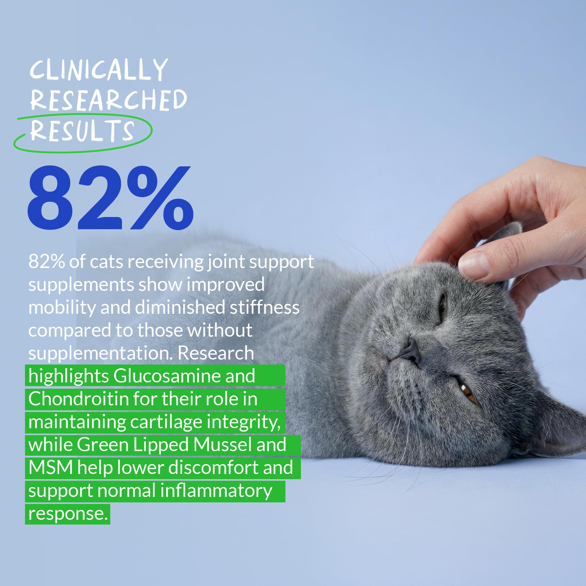 Coco and Luna Hip & Joint Powder for Cats featured in a cat mobility scene.