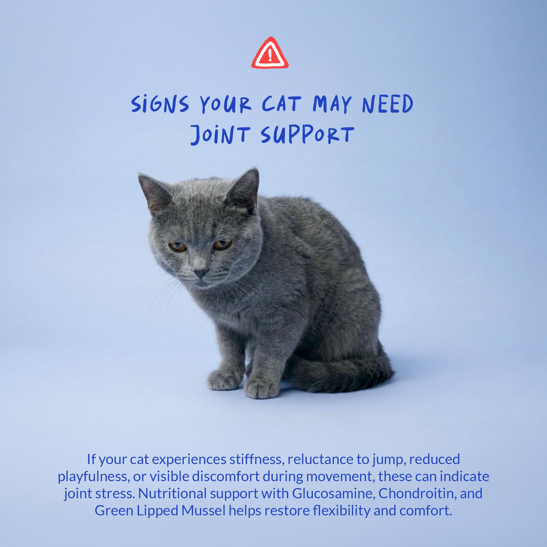 Coco and Luna Hip & Joint Powder for Cats with its joint-support ingredients highlighted.