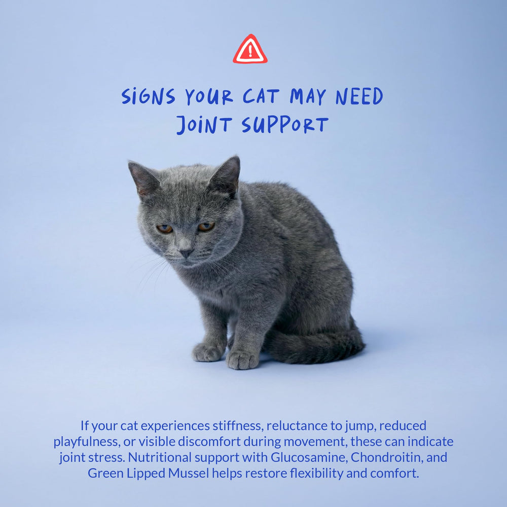Coco and Luna Hip & Joint Powder for Cats with its joint-support ingredients highlighted.