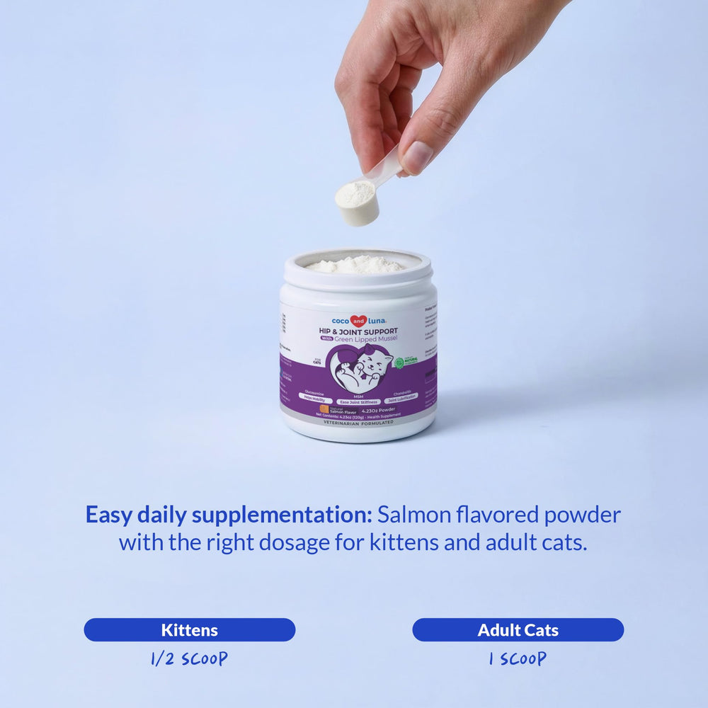 Coco and Luna Hip & Joint Powder for Cats with its USA manufacturing information highlighted.