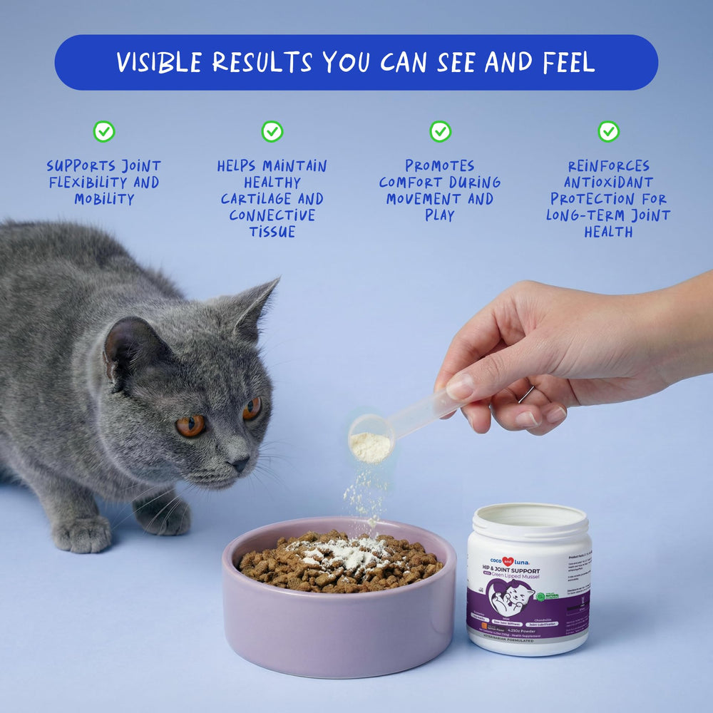 Coco and Luna Hip & Joint Powder for Cats shown in a close-up of the powder.