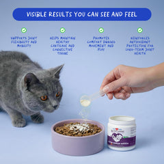 Coco and Luna Hip & Joint Powder for Cats shown in a close-up of the powder.