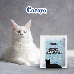 COCOYO Crystal Cat Litter silica gel particles shown in close-up.