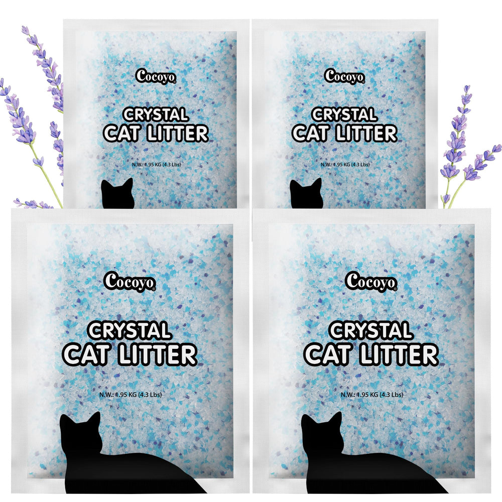 COCOYO lavender crystal cat litter shown from the front.