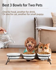 COMESOON raised cat bowls displayed at their elevated feeding height.