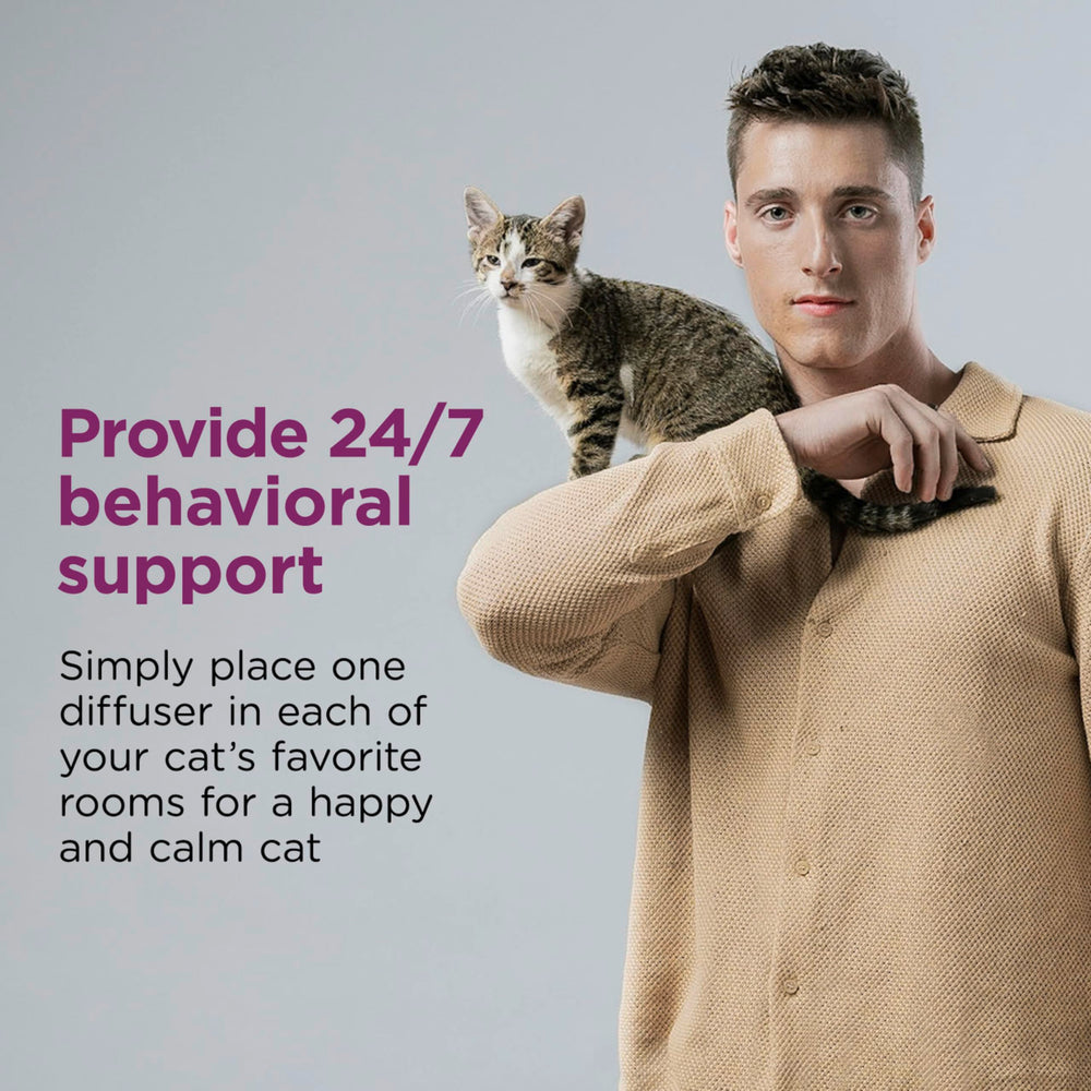 Comfort Zone cat calming starter kit components shown together.