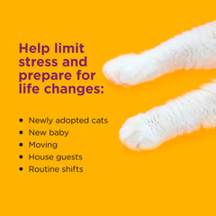 Comfort Zone cat calming diffuser refill shown on its own.