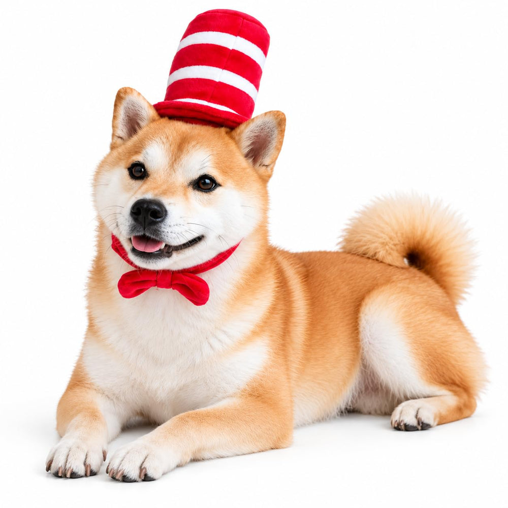 ComfyCamper dog top hat costume with a close view of the red bowtie at the hat base.