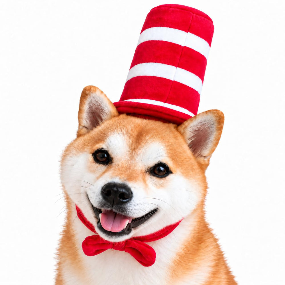 ComfyCamper dog top hat costume shown from the front with its red bowtie.