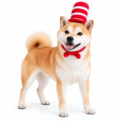ComfyCamper dog top hat costume showing the red-and-white striped hat and round brim.