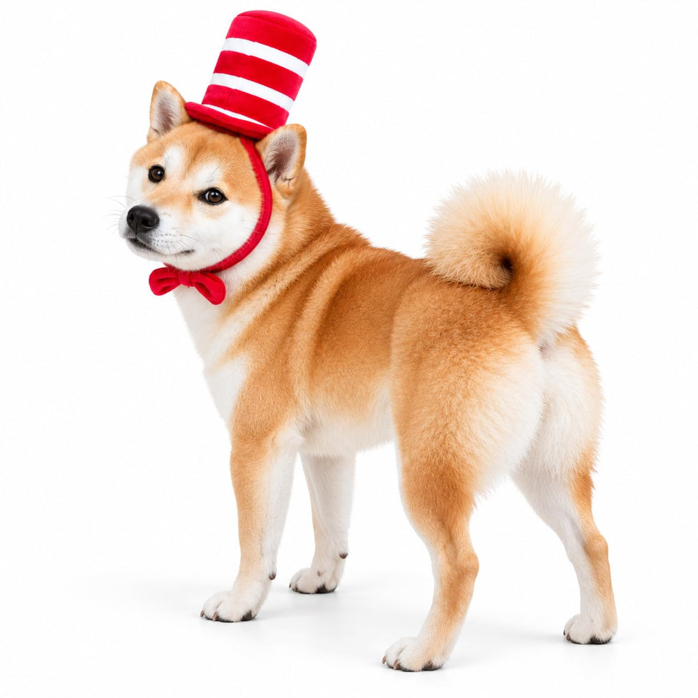 ComfyCamper dog top hat costume shown on a pet for a themed occasion.
