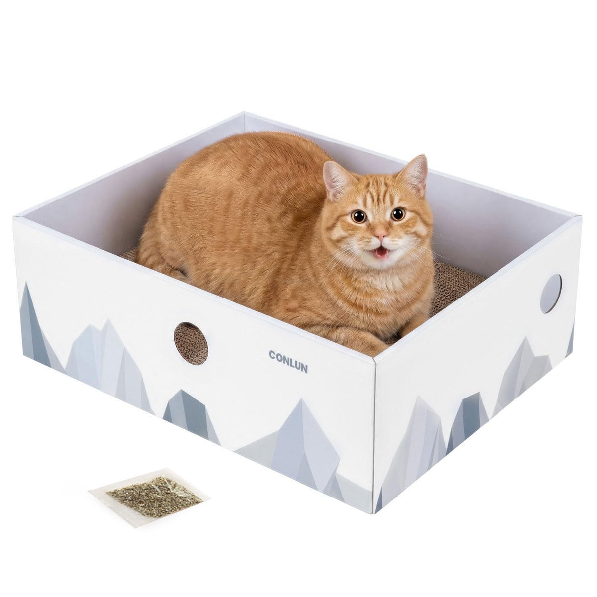 Conlun Cat Scratcher Box shown from the front in white cardboard.