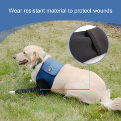 Coodeo Dog Recovery Sleeve covering a dog's front leg