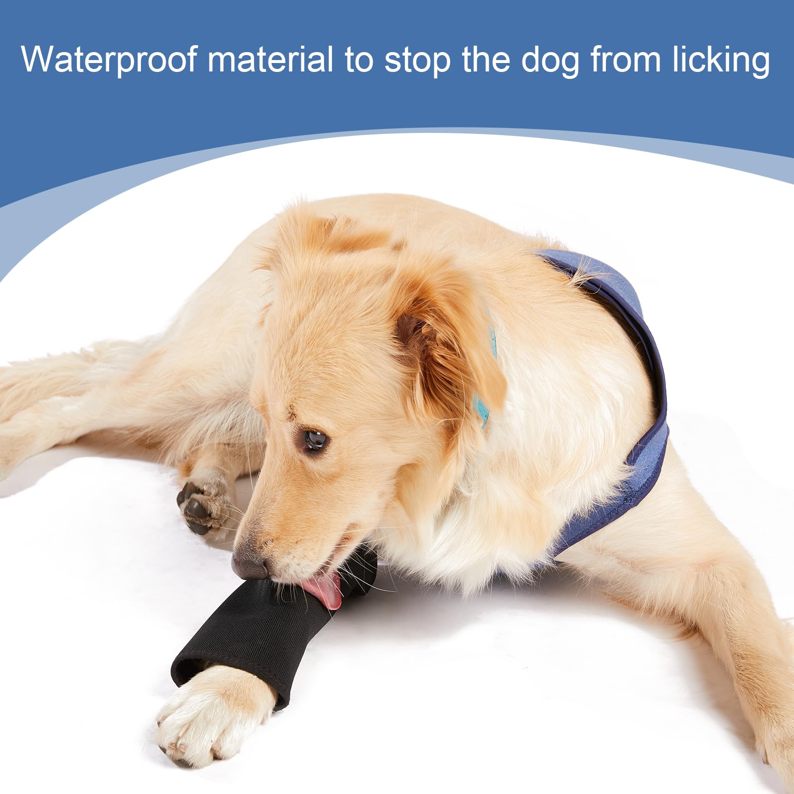 Coodeo Dog Recovery Sleeve shown from the side