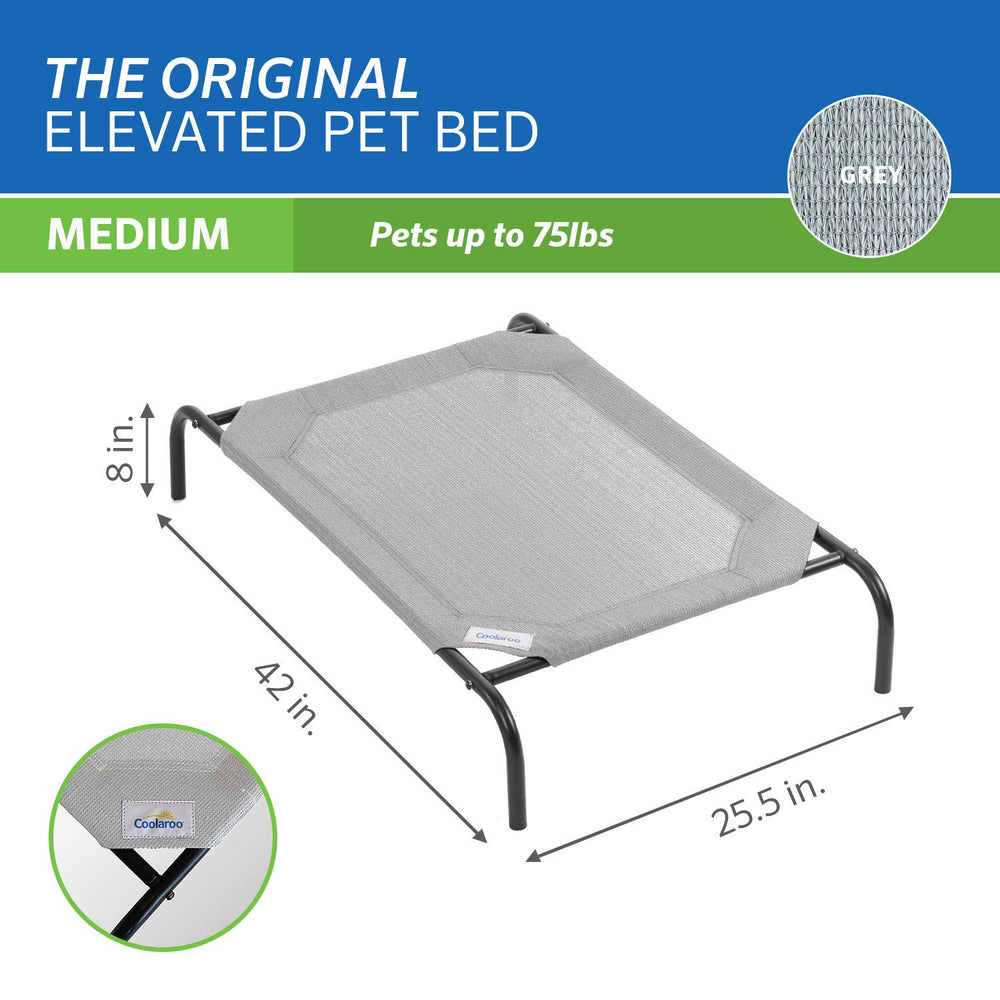 Coolaroo elevated dog bed shown supporting a dog at rest.
