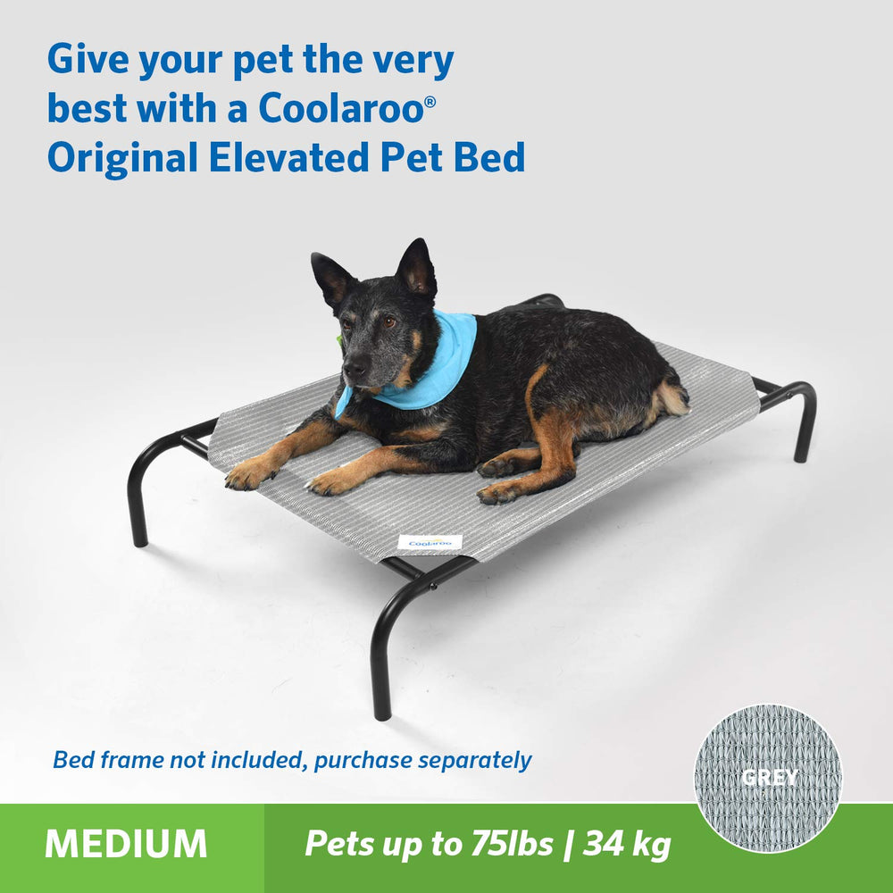Coolaroo Original Pet Bed Replacement Cover shown in use as a pet resting surface.