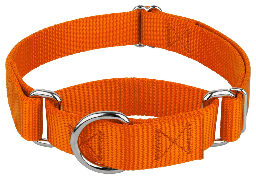 Country Brook Design martingale dog collar shown from the front in orange.