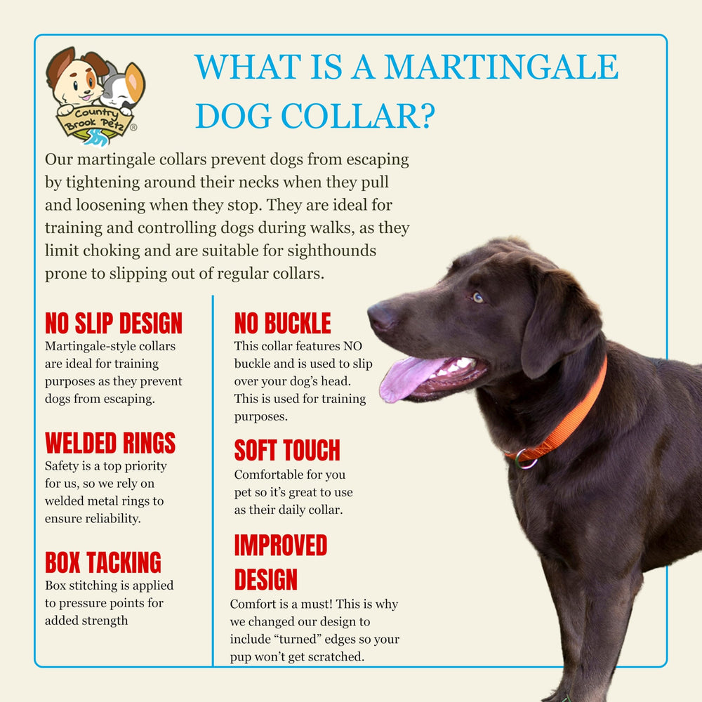 Country Brook Design martingale dog collar showing the limited-tightening loop.