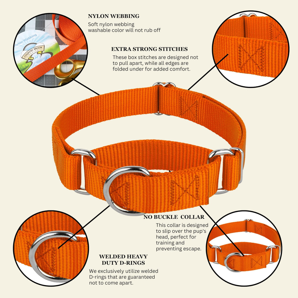 Country Brook Design martingale dog collar fitted around a dog’s neck.