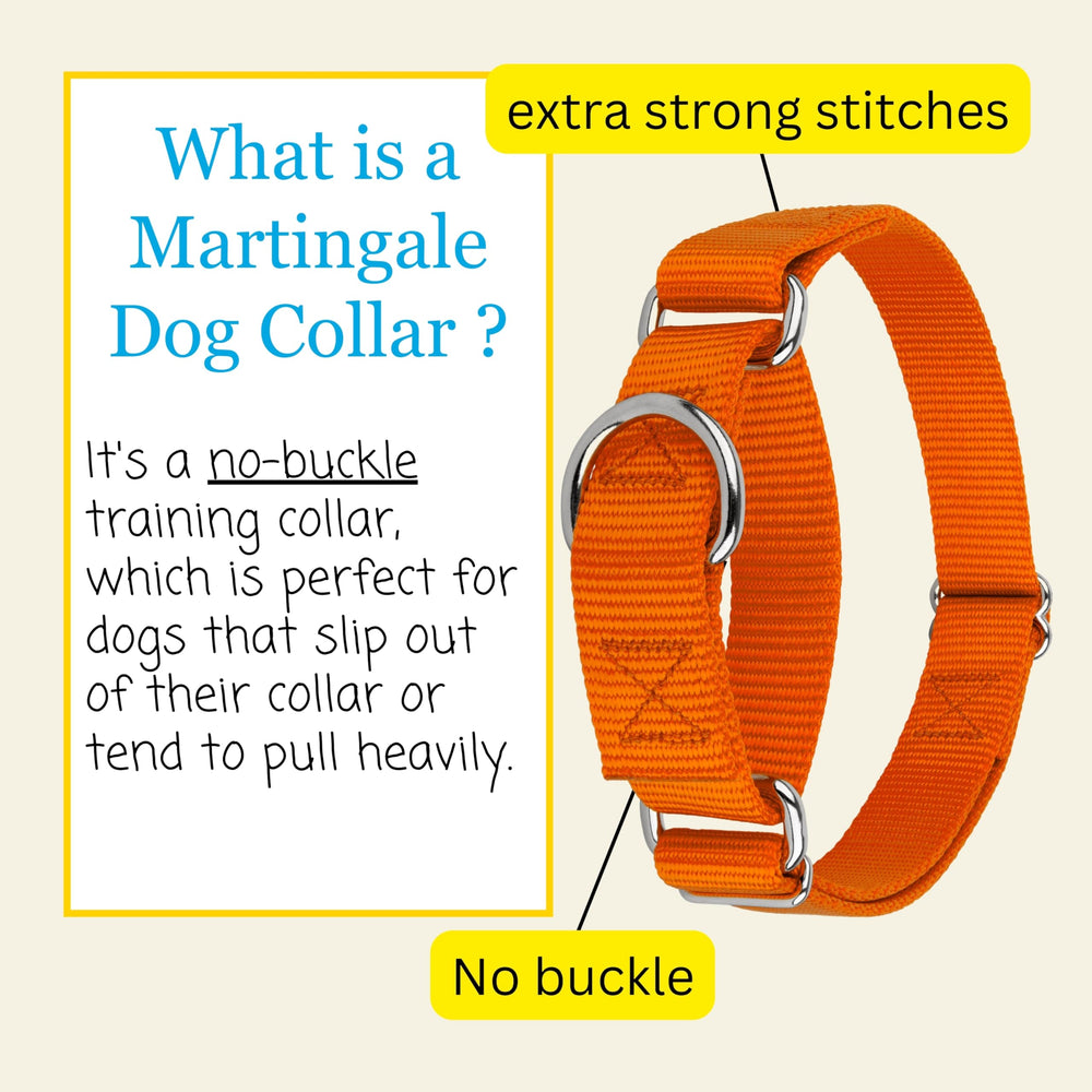 Country Brook Design martingale dog collar displayed in a side profile.