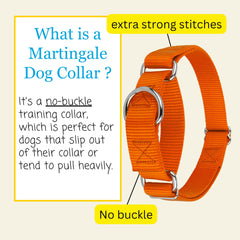 Country Brook Design martingale dog collar displayed in a side profile.