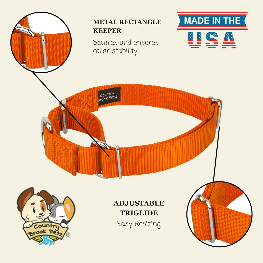 Country Brook Design martingale dog collar shown in use during training.