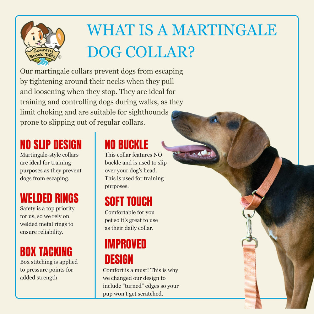 Country Brook Design martingale dog collar shown in its Mango color.