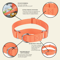 Country Brook Design Martingale Dog Collar showing its limited-closure design.