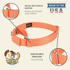 Country Brook Design Martingale Dog Collar shown in a close-up detail view.
