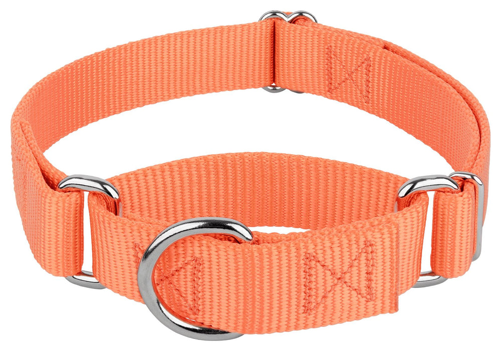 Country Brook Design Martingale Dog Collar shown from the front.