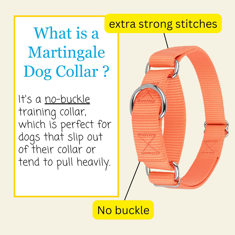 Country Brook Design Martingale Dog Collar viewed from the side.
