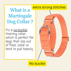 Country Brook Design Martingale Dog Collar viewed from the side.